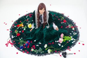 Rating: Safe Score: 0 Tags: 1girl brown_hair closed_eyes dress flower long_hair long_sleeves necktie petals rose sitting solo striped suiseiseki vertical_stripes User: admin