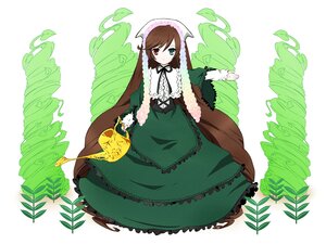 Rating: Safe Score: 0 Tags: 1girl brown_hair dress drill_hair flower frills full_body green_dress green_eyes heterochromia image long_hair long_sleeves looking_at_viewer plant red_eyes solo suiseiseki twintails very_long_hair vines watering_can User: admin