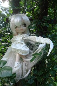 Rating: Safe Score: 0 Tags: 1girl bangs closed_mouth doll dress flower frills gloves kirakishou leaf long_hair looking_at_viewer nature plant solo upper_body vines white_dress white_gloves white_hair User: admin