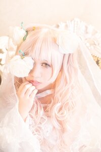 Rating: Safe Score: 0 Tags: 1girl bangs blurry choker depth_of_field flower hair_ornament kirakishou lace lips long_hair looking_at_viewer pink_hair solo white_hair yellow_eyes User: admin