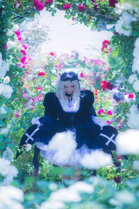 Rating: Safe Score: 0 Tags: 1girl blurry blurry_foreground closed_eyes depth_of_field dress flower hat long_hair long_sleeves outdoors sitting solo suigintou User: admin