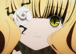 Rating: Safe Score: 0 Tags: 1girl bangs blonde_hair close-up face flower image kirakishou rose solo white_flower white_rose yellow_eyes User: admin