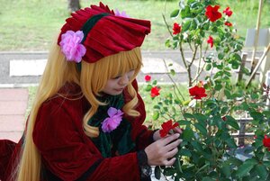 Rating: Safe Score: 0 Tags: 1girl blonde_hair bonnet closed_eyes dress flower long_hair long_sleeves plant red_dress red_flower rose shinku solo User: admin