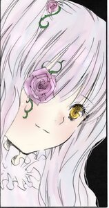 Rating: Safe Score: 0 Tags: 1girl bangs blush close-up closed_mouth face flower image kirakishou long_hair looking_at_viewer pink_flower pink_rose rose smile solo white_rose yellow_eyes User: admin