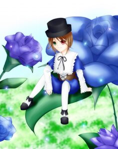 Rating: Safe Score: 0 Tags: 1girl blue_flower blue_rose brown_hair dress flower frills green_eyes hat heterochromia image long_sleeves looking_at_viewer pantyhose red_eyes rose short_hair sitting smile solo souseiseki top_hat white_legwear User: admin