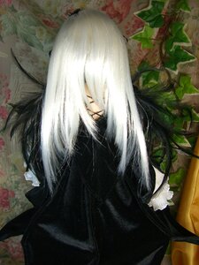 Rating: Safe Score: 0 Tags: 1boy black_coat closed_eyes doll flower leaf long_hair plant solo suigintou upper_body white_hair User: admin