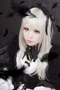 Rating: Safe Score: 0 Tags: 1girl bangs bat bird black_feathers black_ribbon closed_mouth crow feathers hair_ribbon lips long_hair looking_at_viewer red_eyes ribbon solo suigintou white_hair User: admin