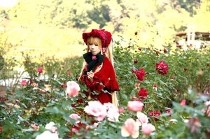 Rating: Safe Score: 0 Tags: 1girl blonde_hair blurry bonnet bow capelet depth_of_field dress flower long_hair red_dress rose shinku sitting solo User: admin