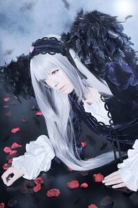 Rating: Safe Score: 0 Tags: 1girl dress feathers flower frills hairband lolita_fashion long_hair long_sleeves petals purple_eyes rose solo suigintou upper_body User: admin