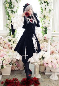 Rating: Safe Score: 0 Tags: 1girl dress flower long_hair long_sleeves rose solo standing suigintou User: admin