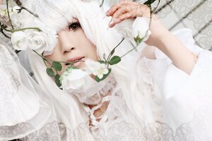 Rating: Safe Score: 0 Tags: 1girl bangs brown_eyes flower kirakishou lace lips plant rose solo white_flower white_hair white_rose white_theme User: admin