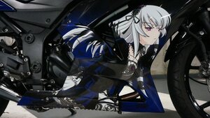 Rating: Safe Score: 0 Tags: 1girl black_wings cross-laced_clothes dress frills ground_vehicle hairband image lolita_hairband long_hair long_sleeves motor_vehicle red_eyes ribbon silver_hair solo suigintou wings User: admin