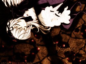 Rating: Safe Score: 0 Tags: 1girl bangs black_dress closed_eyes closed_mouth dress flower frills hairband image long_hair long_sleeves red_rose rose silver_hair sitting sleeping solo suigintou very_long_hair wings User: admin