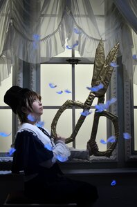 Rating: Safe Score: 0 Tags: 1girl blue_butterfly bug butterfly butterfly_hair_ornament curtains flower gloves hat indoors insect petals picture_frame profile short_hair solo souseiseki window User: admin