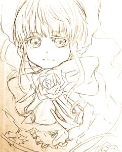 Rating: Safe Score: 0 Tags: 1girl flower image looking_at_viewer monochrome rose shinku solo white_rose User: admin