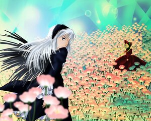 Rating: Safe Score: 0 Tags: 2girls black_dress blurry blurry_foreground cherry_blossoms depth_of_field dress field flower flower_field frills hairband image long_hair long_sleeves looking_at_viewer looking_back motion_blur multiple_girls outdoors pair shinku silver_hair sky suigintou wings User: admin