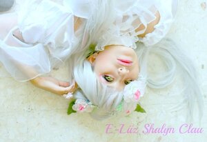 Rating: Safe Score: 0 Tags: 1girl choker flower green_eyes hair_ornament jewelry kirakishou lips solo white_hair User: admin