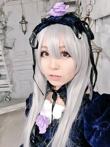 Rating: Safe Score: 0 Tags: 1girl bangs closed_mouth flower hair_between_eyes long_hair looking_at_viewer photo pink_flower ribbon solo suigintou traditional_media User: admin