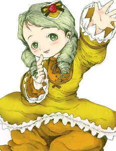 Rating: Safe Score: 0 Tags: 1girl blush dress drill_hair flower frills green_eyes green_hair hair_ornament image kanaria long_sleeves pantyhose rose solo twin_drills User: admin