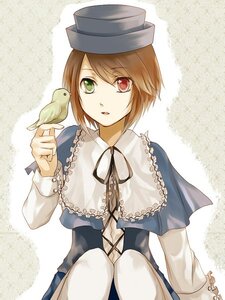 Rating: Safe Score: 0 Tags: 1girl bird blue_dress brown_hair capelet dress green_eyes hat heterochromia image long_sleeves looking_at_viewer red_eyes ribbon short_hair solo souseiseki User: admin