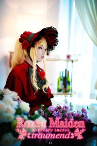 Rating: Safe Score: 0 Tags: 1girl blonde_hair blue_eyes blurry blurry_background blurry_foreground bonnet curtains depth_of_field dress flower lips long_hair photo red_dress red_flower red_rose rose shinku solo User: admin