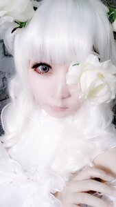 Rating: Safe Score: 0 Tags: 1girl bangs bare_shoulders closed_mouth flower grey_eyes kirakishou leaf lips looking_at_viewer solo white_flower white_hair User: admin