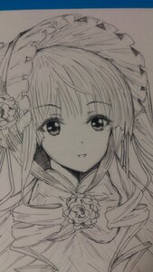 Rating: Safe Score: 0 Tags: 1girl bangs closed_mouth eyebrows_visible_through_hair flower hair_flower hair_ornament image long_hair looking_at_viewer monochrome rose shinku simple_background solo traditional_media upper_body User: admin