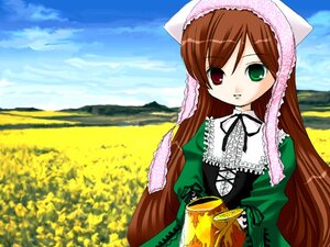 Rating: Safe Score: 0 Tags: 1girl brown_hair day dress frills green_dress green_eyes head_scarf heterochromia image long_hair long_sleeves looking_at_viewer outdoors red_eyes sky solo suiseiseki very_long_hair watering_can User: admin