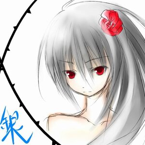 Rating: Safe Score: 0 Tags: 1girl bare_shoulders collarbone flower hair_flower hair_ornament image looking_at_viewer red_eyes red_flower red_rose rose simple_background solo spot_color suigintou white_background User: admin