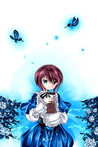 Rating: Safe Score: 0 Tags: 1girl blue_butterfly blue_flower book bug butterfly butterfly_hair_ornament dress flower heterochromia image insect red_eyes short_hair solo souseiseki squiggle User: admin
