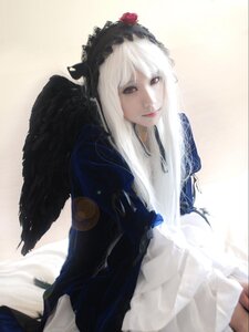 Rating: Safe Score: 0 Tags: 1girl black_wings closed_mouth feathered_wings feathers hairband lips long_hair looking_at_viewer solo suigintou white_hair wings User: admin