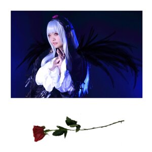 Rating: Safe Score: 0 Tags: 1girl bangs black_wings dress feathers flower frills hairband lips long_hair long_sleeves looking_at_viewer red_eyes rose silver_hair simple_background solo suigintou wings User: admin