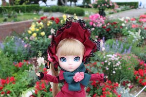 Rating: Safe Score: 0 Tags: 1girl bangs blonde_hair blue_eyes blurry blurry_background blurry_foreground bonnet bow day depth_of_field doll dress drill_hair flower frills garden long_hair long_sleeves looking_at_viewer outdoors photo photo_background pink_bow pink_flower red_dress red_flower red_rose rose shinku solo User: admin