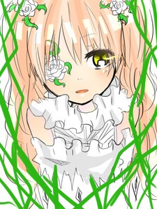 Rating: Safe Score: 0 Tags: 1girl dress flower green_eyes hair_ornament image kirakishou long_hair looking_at_viewer pink_hair rose solo white_flower white_rose User: admin