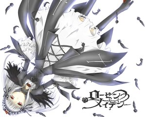 Rating: Safe Score: 0 Tags: 1girl bird black_feathers black_wings dress feathers flower frills hairband image juliet_sleeves long_hair long_sleeves looking_at_viewer puffy_sleeves red_eyes ribbon rose silver_hair solo suigintou white_background wings User: admin