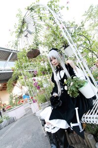 Rating: Safe Score: 0 Tags: 1girl 3d bouquet closed_eyes dress flower gloves long_hair solo suigintou very_long_hair white_hair User: admin