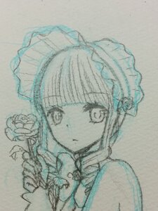 Rating: Safe Score: 0 Tags: 1girl bangs blunt_bangs bonnet bow bowtie closed_mouth eyebrows_visible_through_hair flower frilled_hairband frills image looking_at_viewer monochrome photo rose shinku simple_background sketch solo traditional_media upper_body User: admin