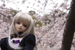 Rating: Safe Score: 0 Tags: 1girl bangs blurry blurry_background depth_of_field doll dress flower lips long_hair long_sleeves looking_at_viewer photo solo suigintou upper_body User: admin