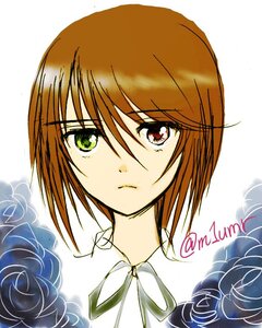 Rating: Safe Score: 0 Tags: blue_flower blue_rose brown_hair character_name closed_mouth flower green_eyes hair_between_eyes heterochromia image looking_at_viewer neck_ribbon portrait ribbon rose shiny_hair short_hair solo souseiseki white_background white_rose User: admin