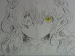 Rating: Safe Score: 0 Tags: 1girl closed_mouth face flower greyscale hair_flower hair_ornament image kirakishou looking_at_viewer monochrome portrait solo traditional_media User: admin