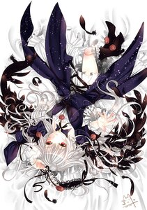 Rating: Safe Score: 0 Tags: 1girl doll_joints dress feathers flower full_body image long_hair looking_at_viewer red_eyes ribbon rose solo suigintou very_long_hair User: admin