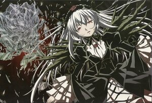 Rating: Safe Score: 0 Tags: 1girl black_dress black_wings dress flower frilled_sleeves frills hairband image long_hair long_sleeves looking_at_viewer puffy_sleeves red_eyes ribbon rose silver_hair solo suigintou wings User: admin