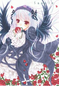 Rating: Safe Score: 0 Tags: 1girl dress flower food frills fruit hairband holding holding_food holding_fruit image long_hair long_sleeves looking_at_viewer petals red_eyes red_flower red_rose rose rose_petals silver_hair solo suigintou thorns traditional_media wings User: admin