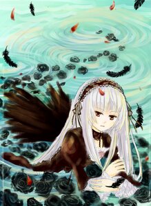 Rating: Safe Score: 0 Tags: 1girl bird black_feathers black_ribbon black_wings dress feathered_wings feathers flower frills hairband image long_hair long_sleeves looking_at_viewer red_eyes ribbon rose solo suigintou wings User: admin