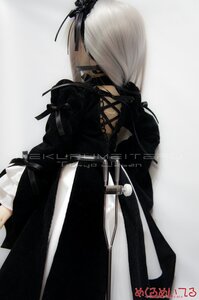 Rating: Safe Score: 0 Tags: 1girl black_dress doll dress gloves long_hair long_sleeves solo standing suigintou white_hair User: admin