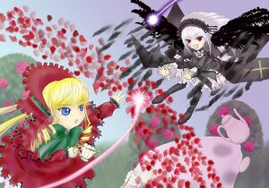 Rating: Safe Score: 0 Tags: 2girls black_wings blonde_hair blue_eyes bonnet bow doll dress drill_hair flower frills image long_hair long_sleeves multiple_girls pair petals red_eyes rose shinku suigintou wings User: admin