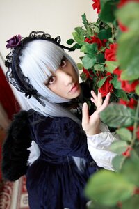 Rating: Safe Score: 0 Tags: 1girl bangs blurry blurry_background blurry_foreground closed_mouth depth_of_field dress flower frills gothic_lolita hairband lips lolita_fashion long_hair long_sleeves looking_at_viewer photo red_eyes red_flower ribbon rose silver_hair solo suigintou User: admin