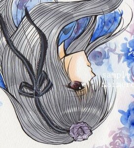 Rating: Safe Score: 0 Tags: 1girl bangs flower hairband image long_hair profile ribbon rose silver_hair solo suigintou upper_body User: admin