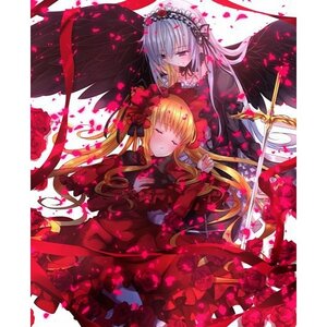 Rating: Safe Score: 0 Tags: 2girls black_wings blonde_hair blush closed_eyes dress flower frills hairband image long_hair long_sleeves multiple_girls pair petals red_dress rose shinku silver_hair sleeping suigintou twintails wings User: admin