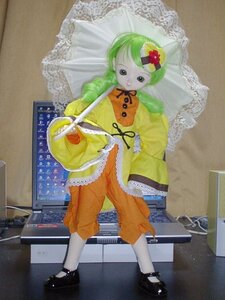 Rating: Safe Score: 0 Tags: 1girl doll green_hair holding kanaria photo solo traditional_media umbrella User: admin